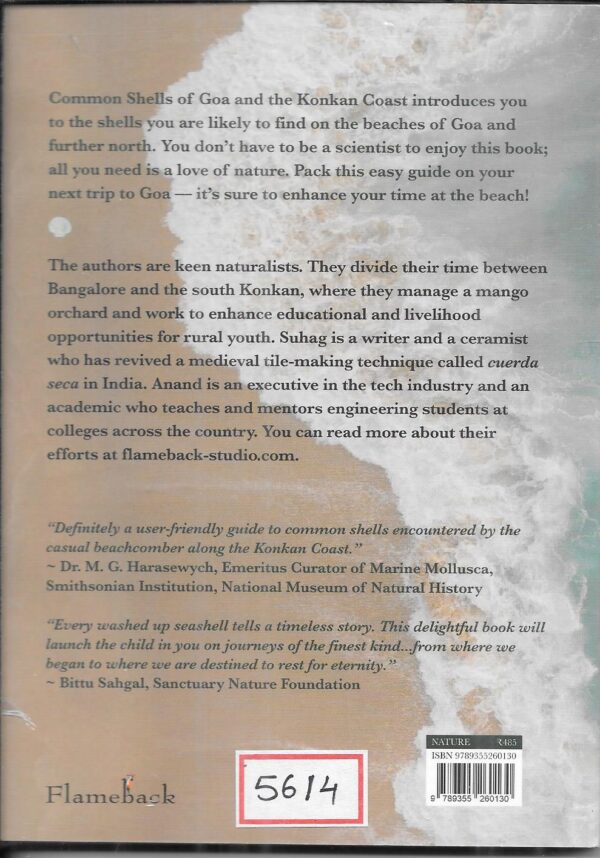 Common Shells of Goa & the Konkan Coast - Image 2