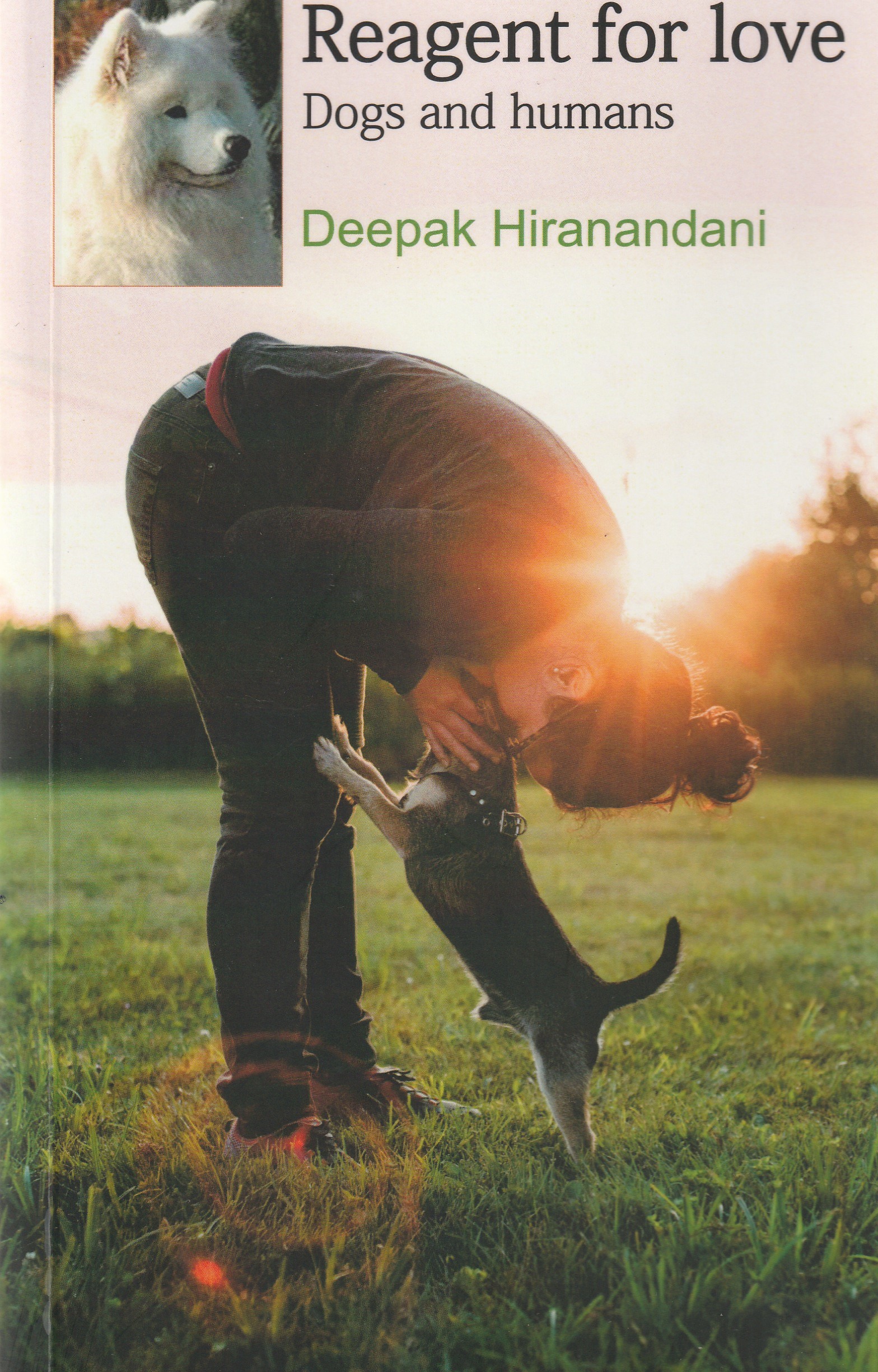 Reagent for love Dogs and humans